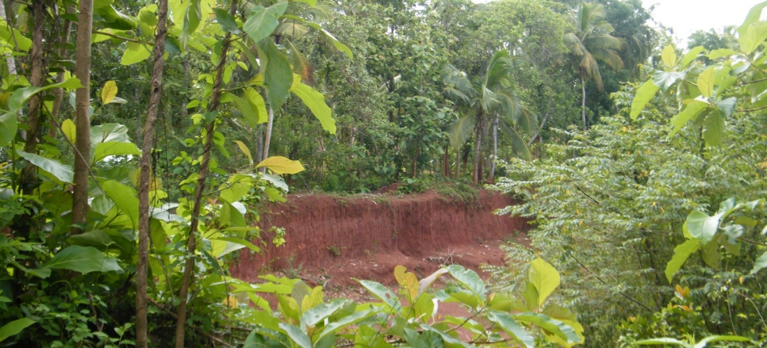 Gravel Mining in Panirendawa Forest Reserve