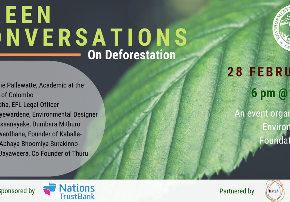 Green Conversations 2- Deforestation