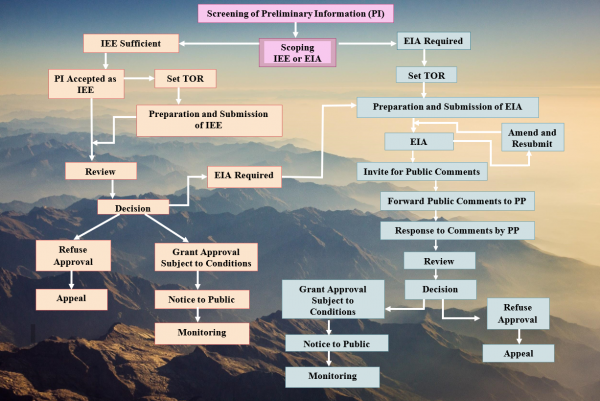 Steps of the EIA Process – Environment Foundation (Guarantee) Limited.