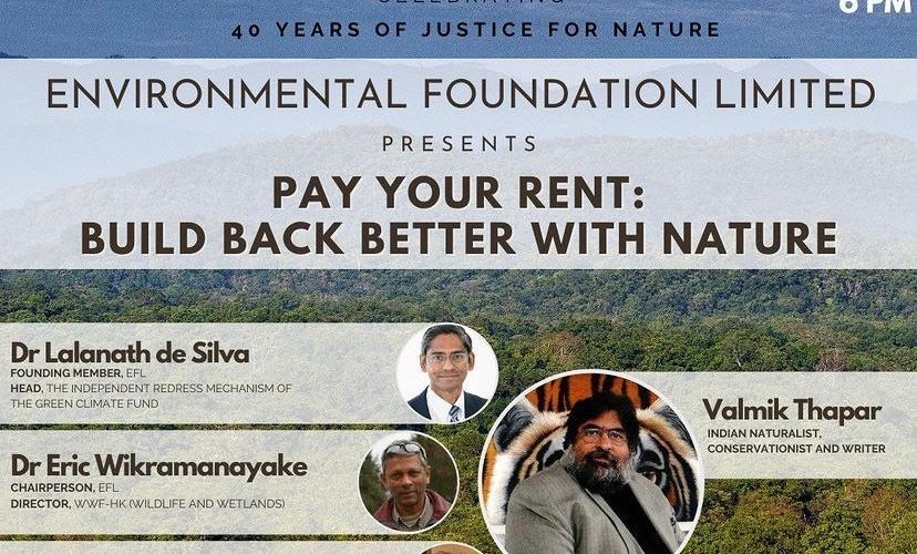 Pay Your Rent: Build Back Better with Nature